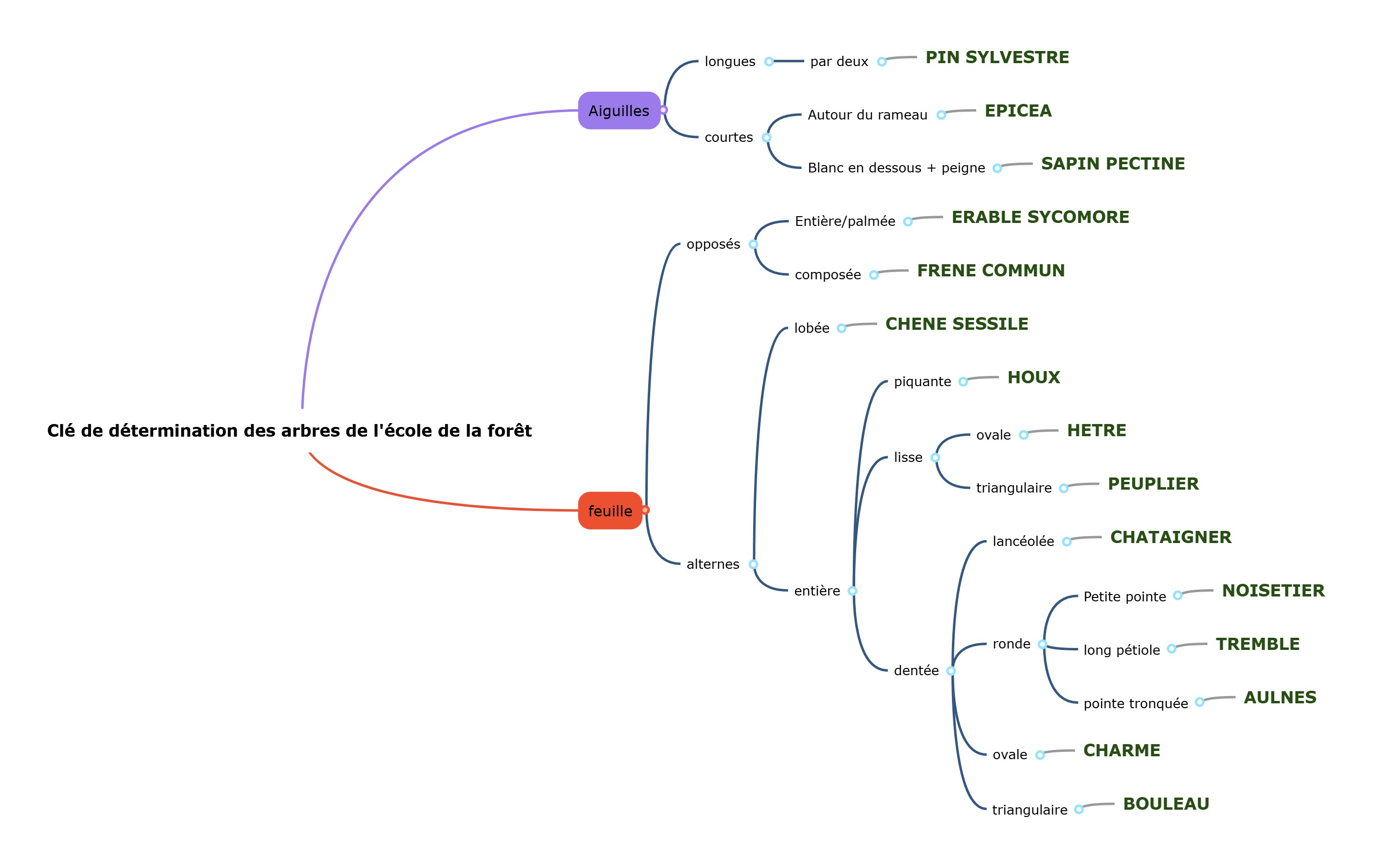 La classe coopérative en CM1 et CM2 – De nombreuses activités pour les ...